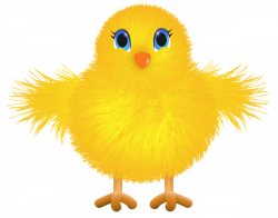 Cute Yellow Chicken Transparent PNG Clip Art Image | Gallery ...