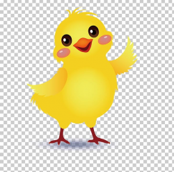 Yellow-hair Chicken Little Yellow Chicken PNG, Clipart ...