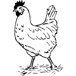 Free Chicken Clipart Black And White, Download Free Clip Art ...