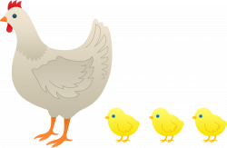 Mother Hen and Baby Chicks - Free Clip Art