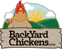 BEST chicken site ever! Great info on raising chickens (and other ...
