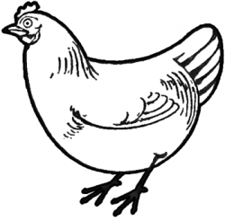 How to Draw Chickens & Hens with Easy Step by Step Drawing Tutorial ...