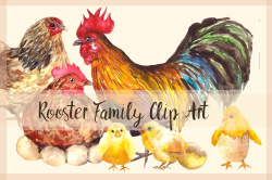 Rooster Family - Watercolor Clip Art ~ Objects ~ Creative Market