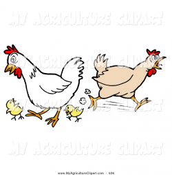 Agricultural Chickens Clipart