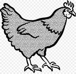 Cochin chicken Dorking chicken Clip art - chicken png download ...
