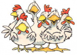 340 best chicken stuff images on Pinterest | Chicken coops, Backyard ...