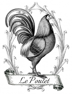 Printable Image Transfer - French Chicken - The Graphics Fairy