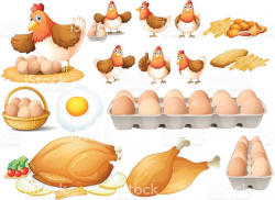 Chicken and different types of chicken products illustration ...