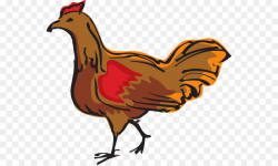 Chicken Windows Metafile Clip art - Chickens png download - 600*537 ...