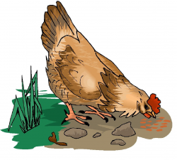 Chickens clip art for tags | Things to Make | Pinterest | Clip art
