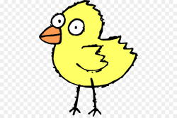 Chicken Cartoon Clip art - Chicks png download - 504*593 - Free ...