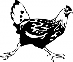 Running Chicken clip art Free vector in Open office drawing svg ...