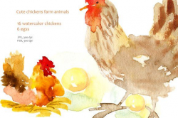 Watercolor Clipart Chicken. Graphics â ?20Hello and welcome!All ...