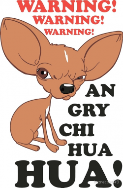 warning!angry chihuahua!