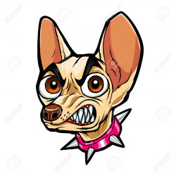 Angry Chihuahua Clipart