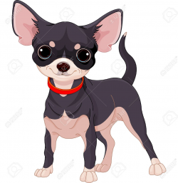 Cartoon Chihuahua Stock Photos, Pictures, Royalty Free ...