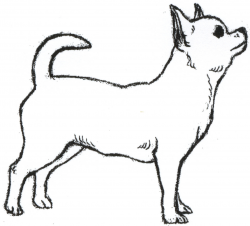 Enjoyable Chihuahua Coloring Pages Free Printable Chihu Photo ...