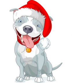 Pictures of Dogs for Christmas Season - Dog Pictures