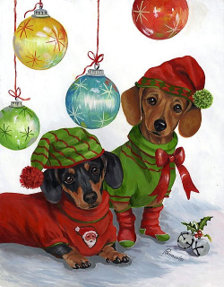 Dogs - Dogs - Animals - Postcards - Christmas Wallpapers, Free ...