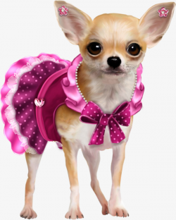 Hand Drawn Cute Chihuahua, Hand Painted, Lovely, Chihuahua PNG Image ...