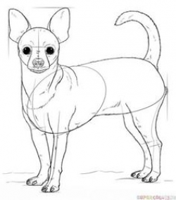 How to Draw a Chihuahua | Fun Drawing Lessons for Kids & Adults ...