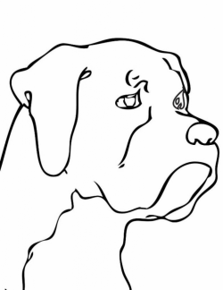 Easy Drawing Dog at GetDrawings.com | Free for personal use Easy ...