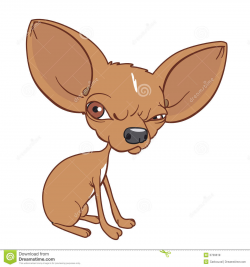 Chihuahua Mean Face Clipart