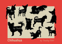 Chihuahua svg silhouette png clipart cut file dog printable