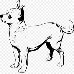 Chihuahua Puppy Line art Drawing Clip art - chihuahua png download ...