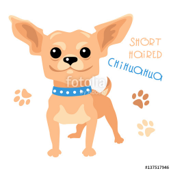 Cute funny dog tan shorthaired deer head Chihuahua breed vector ...
