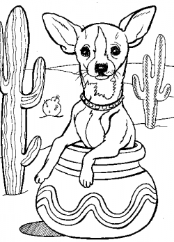 Chihuahua Coloring Page For Kids | Haelynn | Pinterest | Outline ...