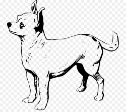 Chihuahua Puppy Line art Clip art - chihuahua png download - 800*787 ...