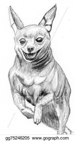 Drawing - Sketch dog miniature pinscher. Clipart Drawing gg75246205 ...