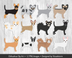 Chihuahua Clip Art, 12 Hand Drawn Dog Illustrations - Various Colors &  Markings