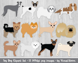 Toy Dog Breeds Clipart - Chihuahua Pomeranian Yorkshire Terrier Pug Maltese  Pekingese Shih Tzu Min Pin - 12 Digital Png Small Dog Graphics