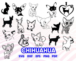 CHIHUAHUA SVG, dog svg, puppy svg, cartoonchihuahua, cute ...