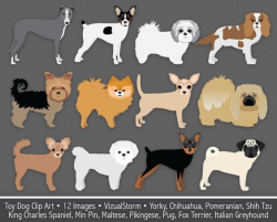 Toy Dog Clip Art, digital foo foo dogs, small dog breeds, chihuahua ...