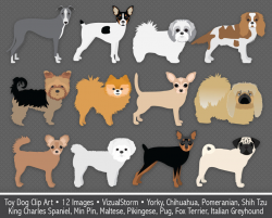 Toy Dog Clip Art, digital foo foo dogs, small dog breeds ...