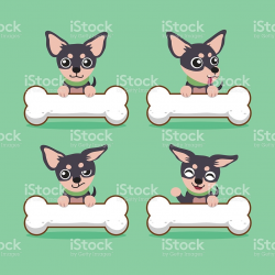 Chihuahua clipart celebrity - Pencil and in color chihuahua clipart ...