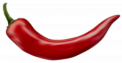 Red Chili Pepper Transparent PNG Clip Art Image | Gallery ...