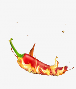 Chili, Fire, Hot, Ingredients PNG Image and Clipart for Free Download