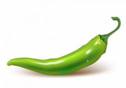 green chili clipart | Clipart Station