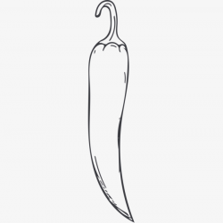 Sketch Pepper, One, Vegetables, Chili PNG Image and Clipart for Free ...