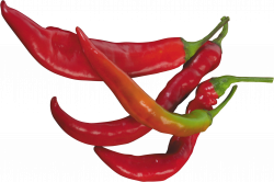 Hot Chili Pepper Two | Isolated Stock Photo by noBACKS.com