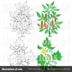 Chili clipart tree - Pencil and in color chili clipart tree