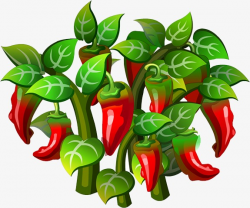 Pepper Tree, Red, Green Leaves PNG Image and Clipart for Free Download