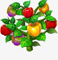 Pepper Tree, Vegetables, Green Leaves PNG Image and Clipart for Free ...