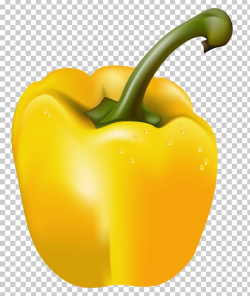 Bell Pepper Yellow Pepper Chili Pepper Vegetable PNG ...