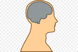 Human brain Human head Clip art - Animated Brain Cliparts png ...