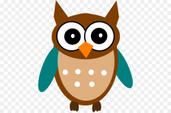 Owl Green Clip art - Gambar Owl Cartoon png download - 498*595 ...